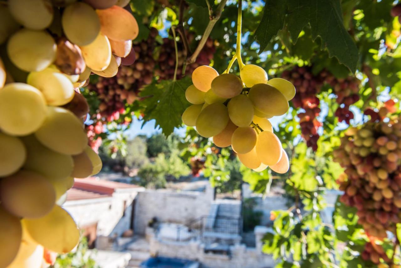 فندق أور هاوس Vavla المظهر الخارجي الصورة